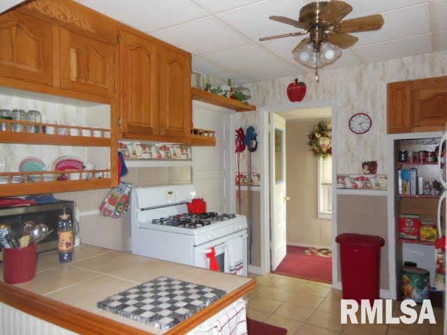 428 East 4th Street Flora, IL 62839 - Photo 8 of 21 Gallery Image 8