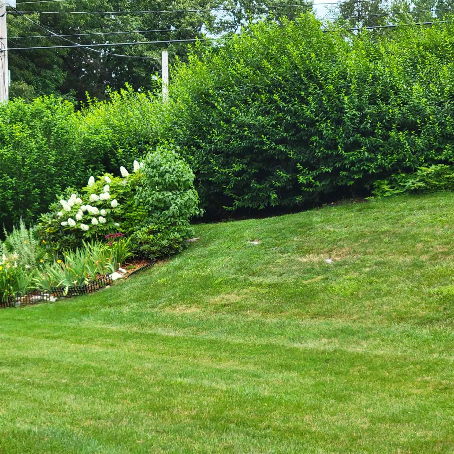 36 Riviera Road, Unit 36 Hudson, NH 03051 - Photo 4 of 23 Gallery Image 4
