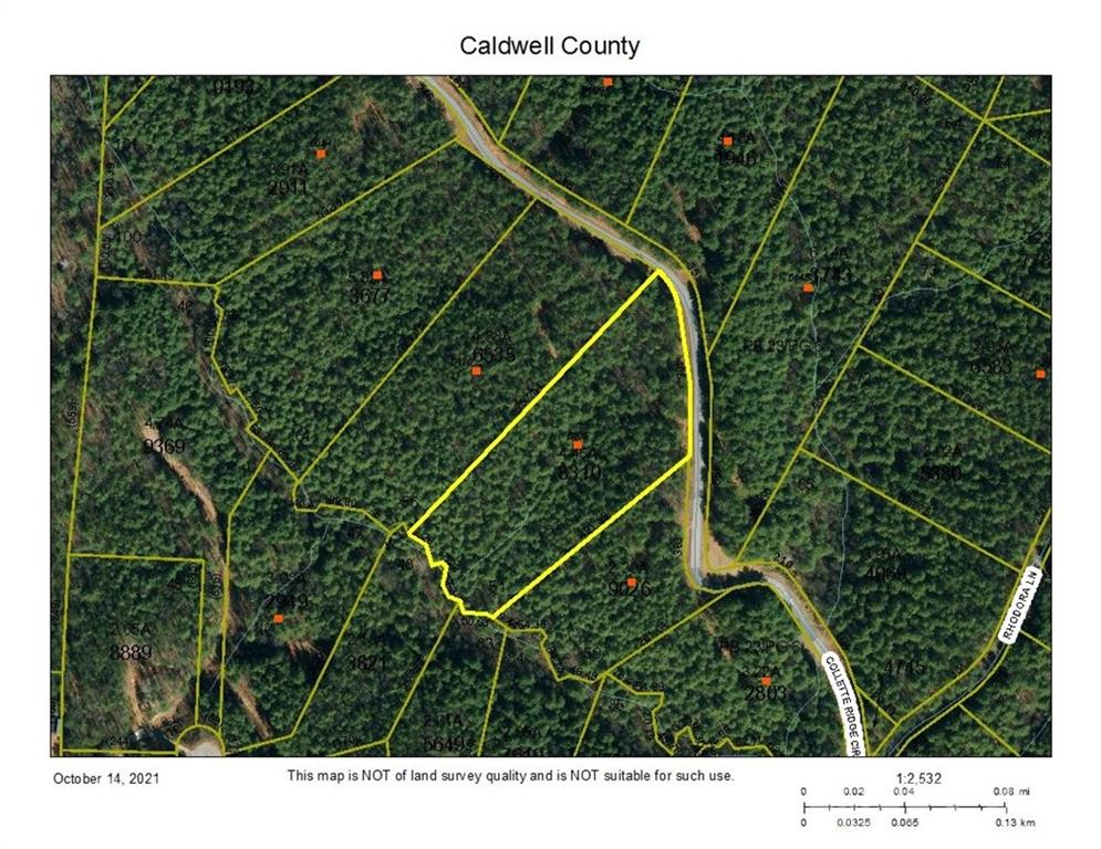6136 Collette Ridge Circle Collettsville, NC 28611 - Photo 14 of 16 Gallery Image 14