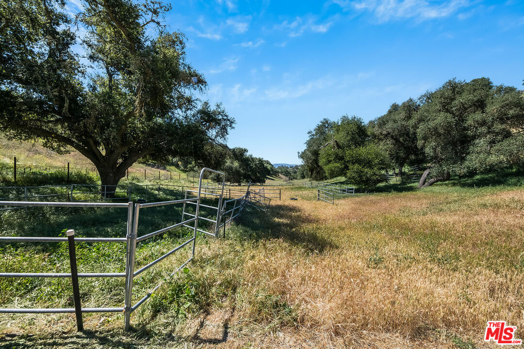 3349 Long Valley Road Santa Ynez, CA 93460 - Photo 9 of 22 a view of a backyard