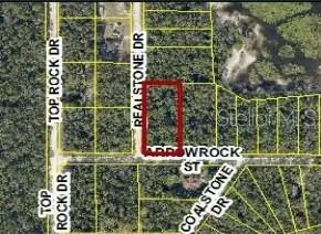 $35,000 | 9028 Real Stone, Webster, FL 33597