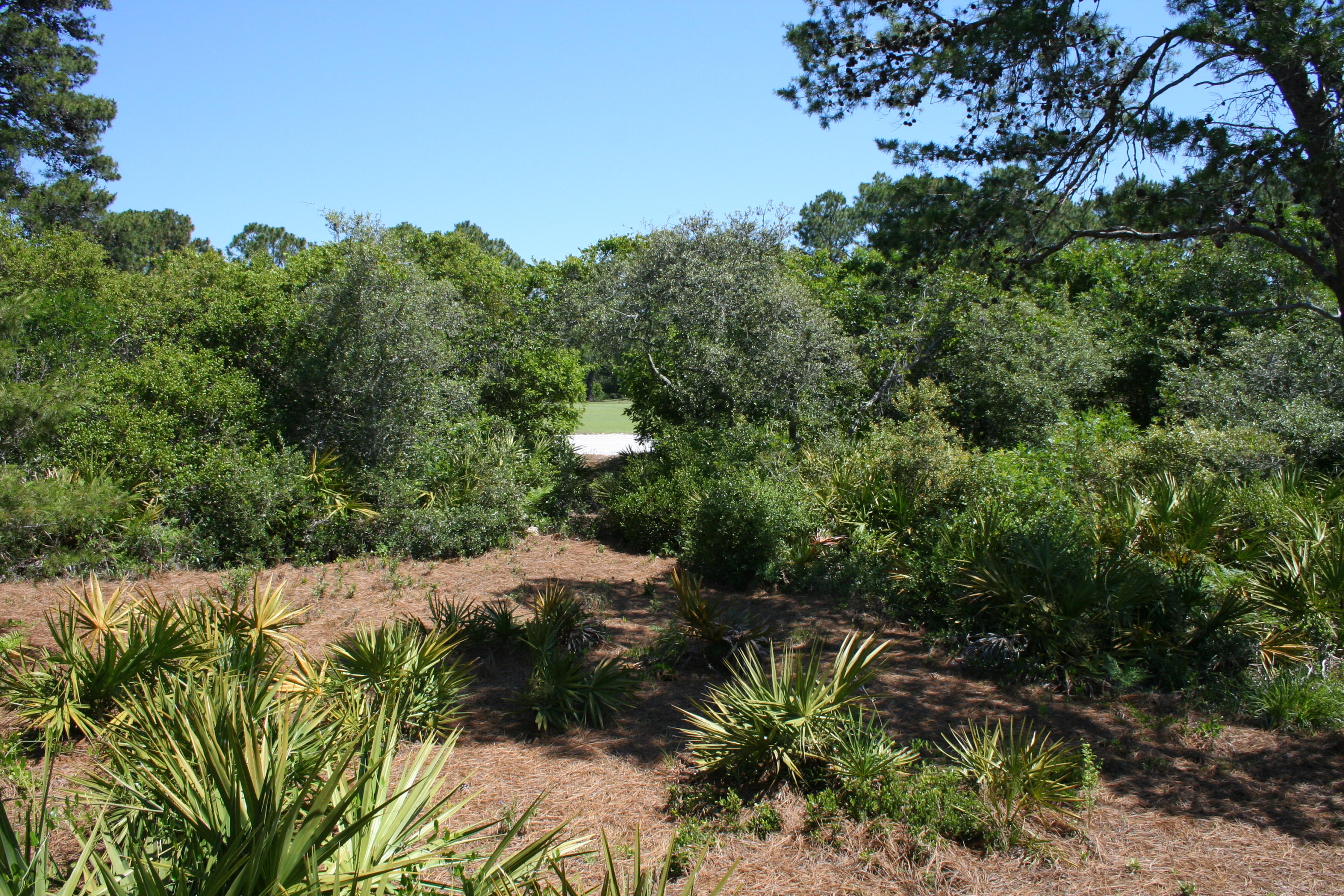 14 Masters Court Santa Rosa Beach, FL 32459 - Photo 40 of 50 Gallery Image 40