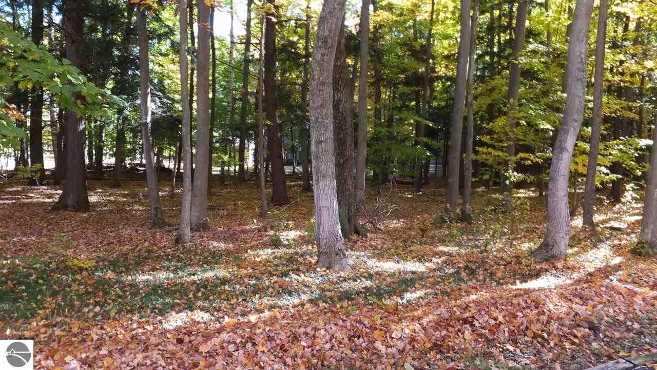 3069 Bancroft Road Honor, MI 49640 - Photo 19 of 46 1791697-19.JPG