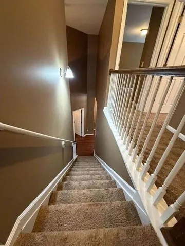 a view of a dry yard with trees