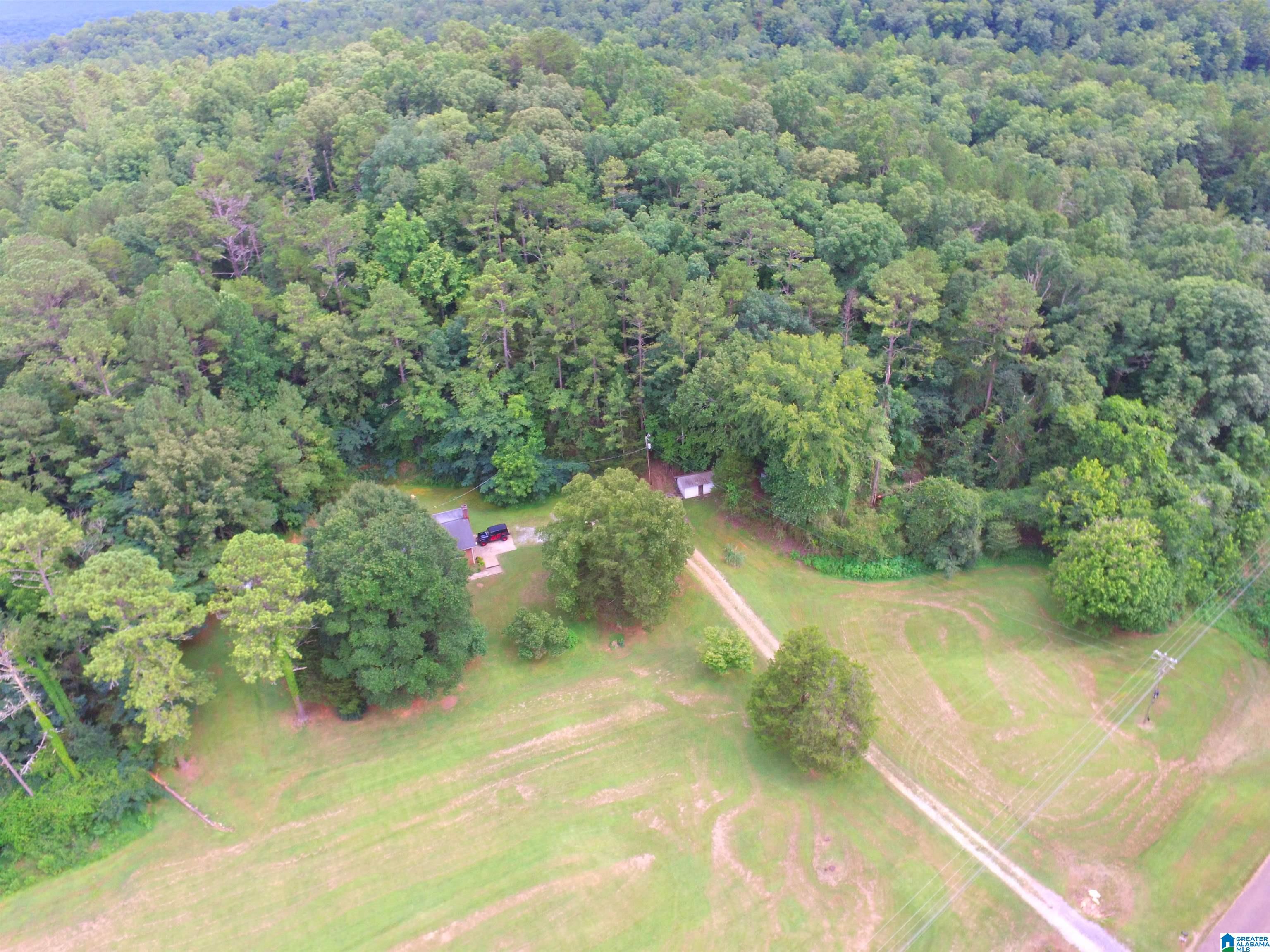 4041 Allison Mill Road Talladega, AL 35160 - Photo 12 of 53