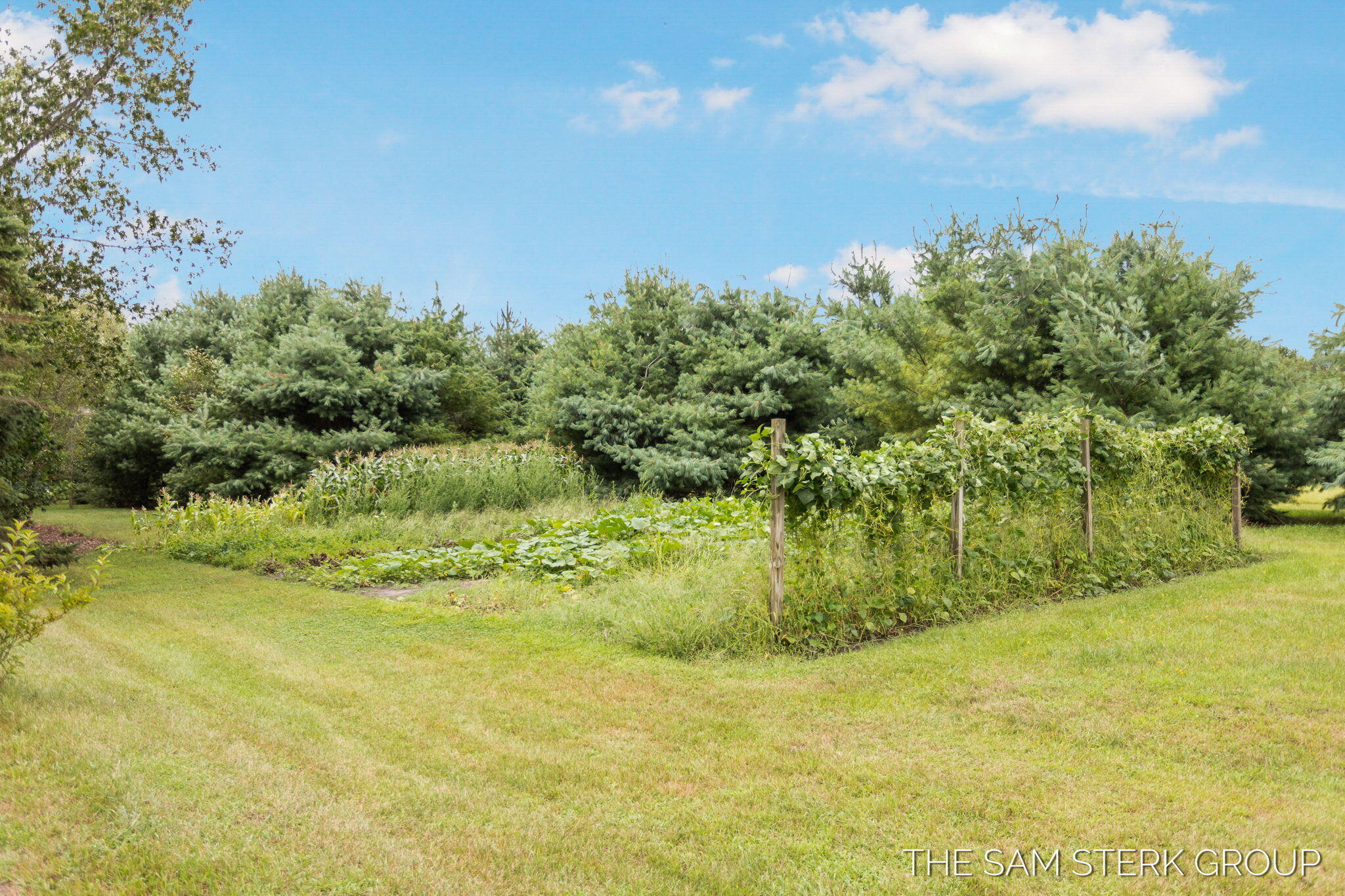 253 North Bossett Road Ravenna, MI 49451 - Photo 27 of 32 253 N Bossett Rd