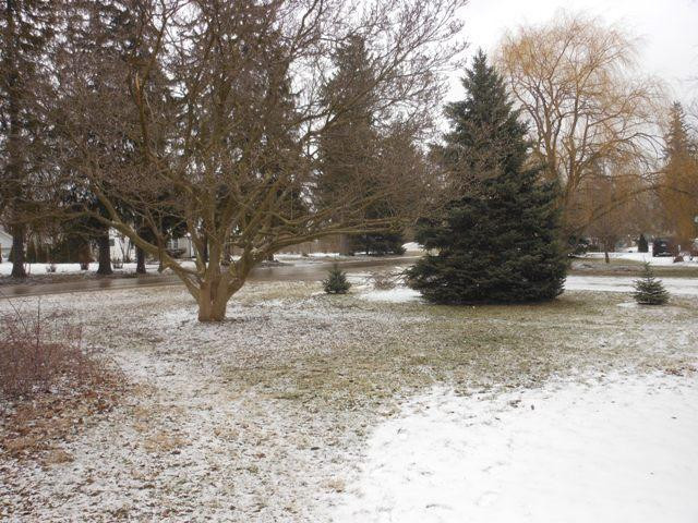 2921 Dexter Road Ann Arbor, MI 48103 - Photo 32 of 32 Photo 34