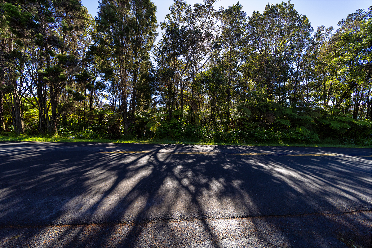 38 Wright Road Volcano, HI 96785 - Photo 1 of 19 Gallery Image 1