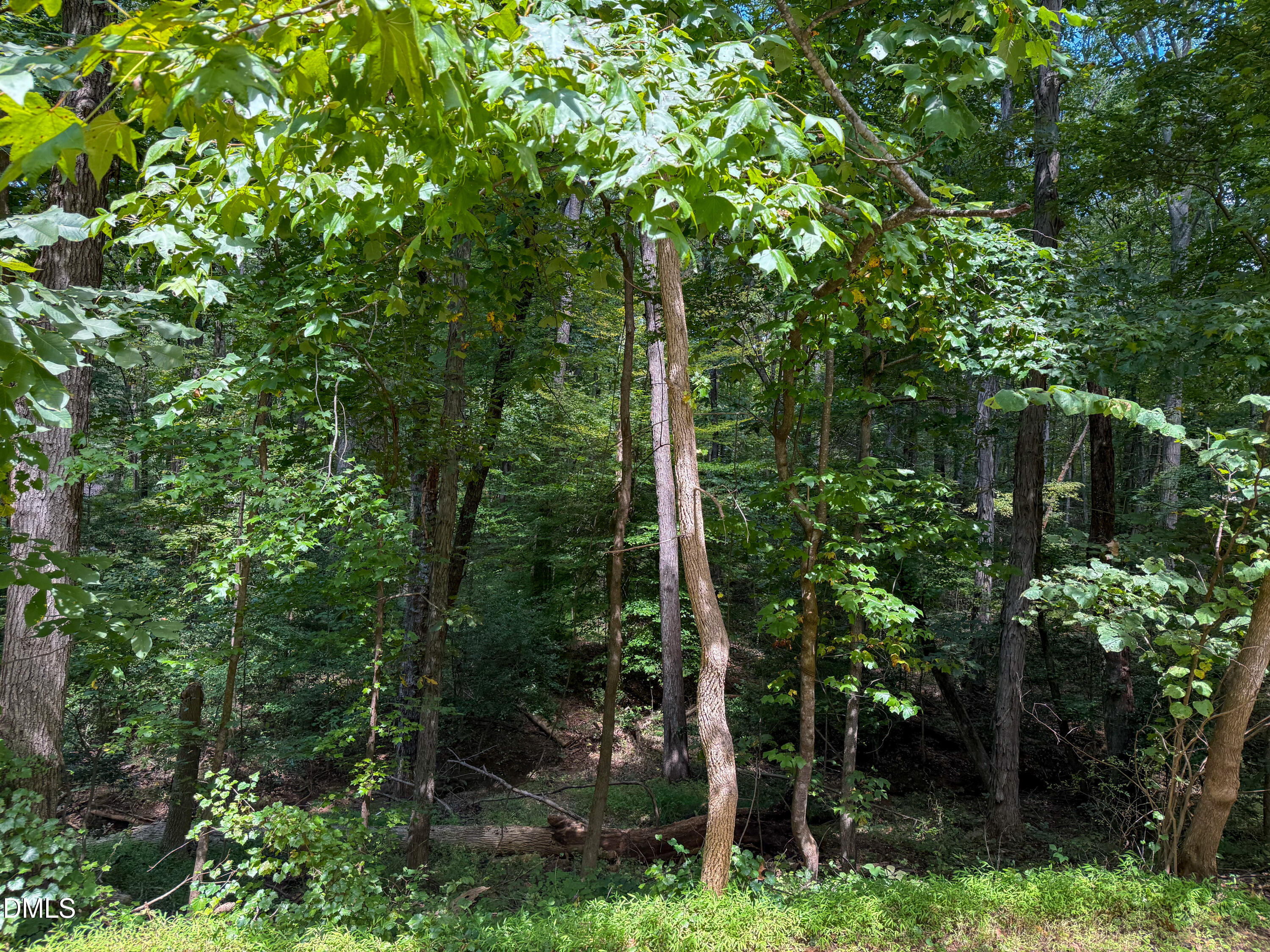 Lot 19 Tara Lane Timberlake, NC 27583 - Photo 4 of 7 IMG_4039