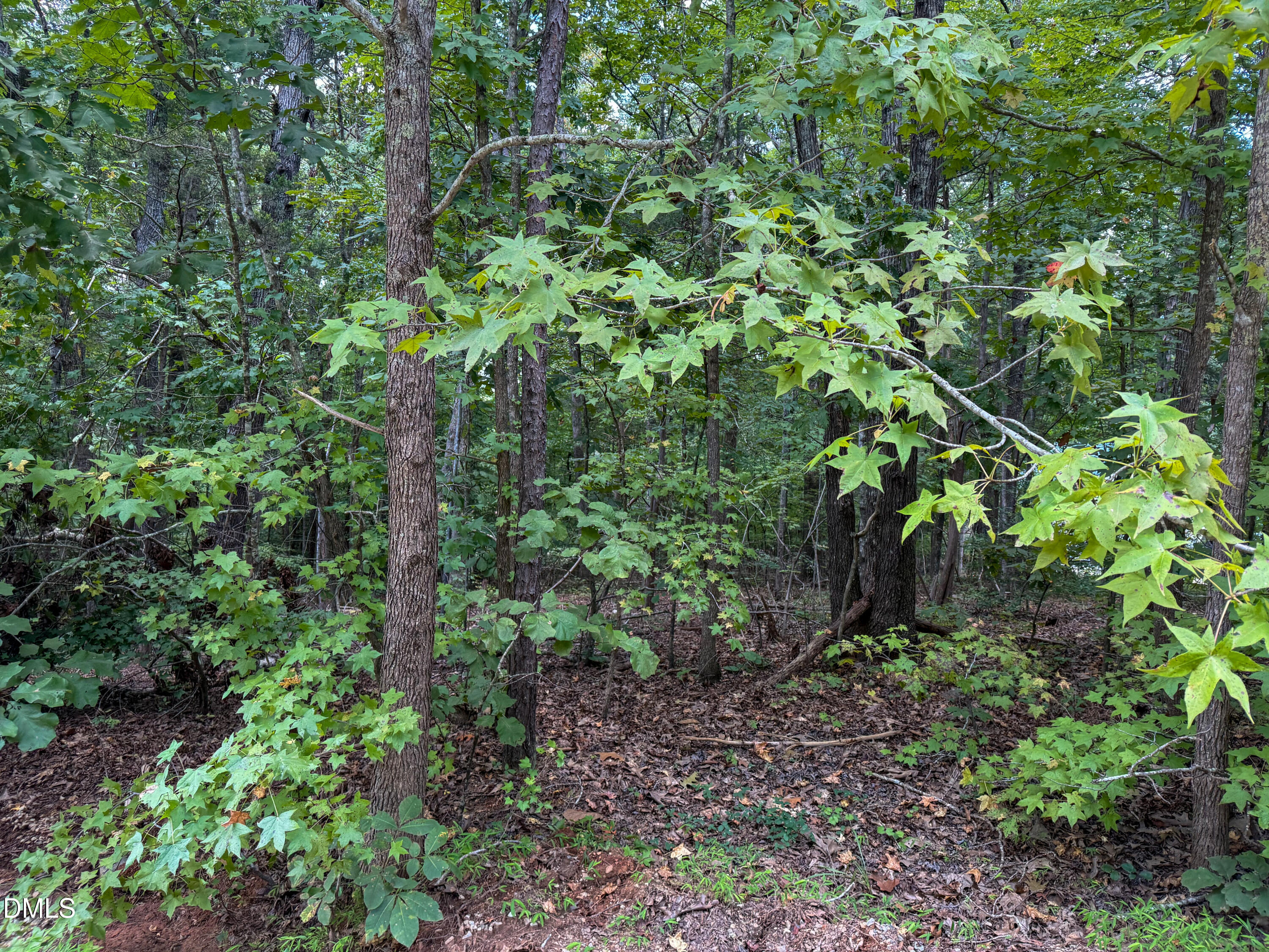 Lot 19 Tara Lane Timberlake, NC 27583 - Photo 6 of 7 IMG_4042