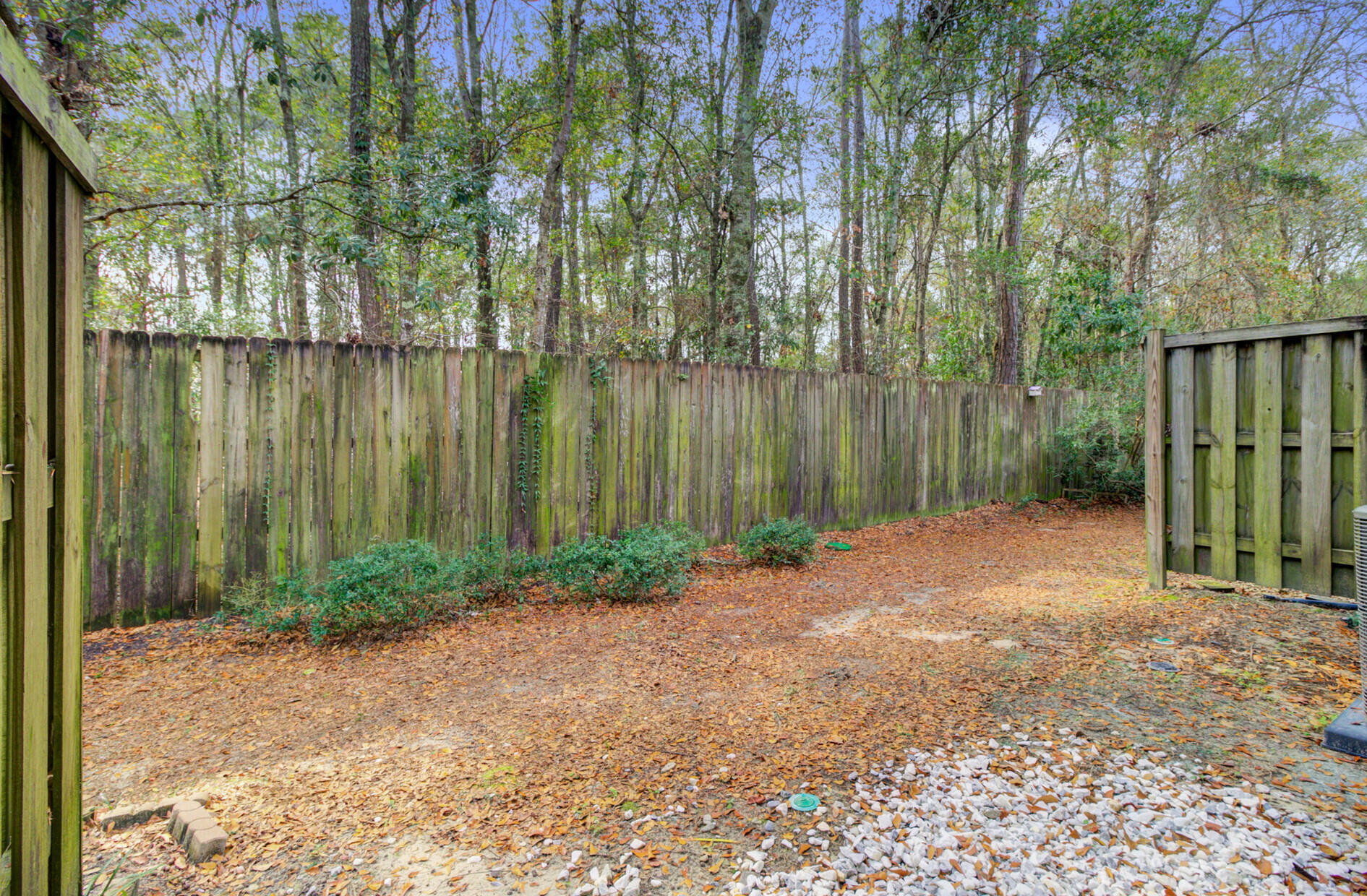 1265 Dingle Road Mount Pleasant, SC 29466 - Photo 42 of 50 Back Yard 3