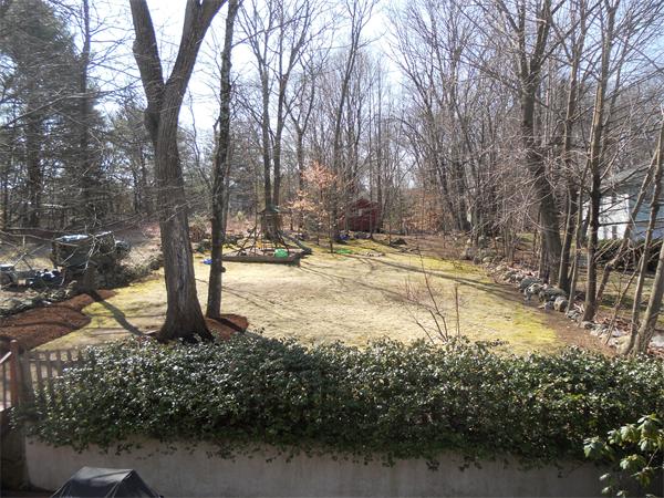 500 Marrett Road Lexington, MA 02421 - Photo 15 of 16 a view of a yard with trees