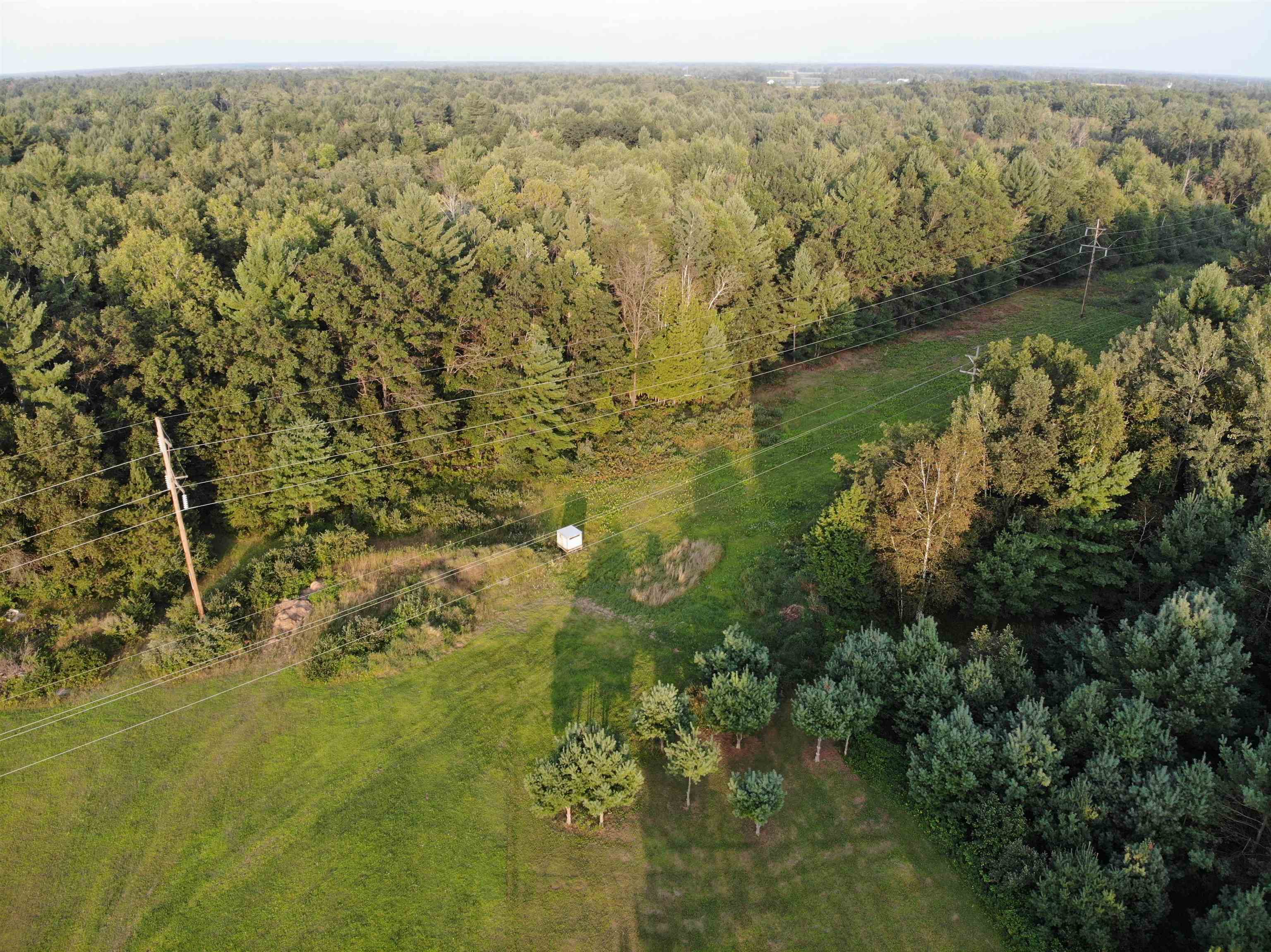 1706 North Fire Road Twining, MI 48766 - Photo 7 of 81