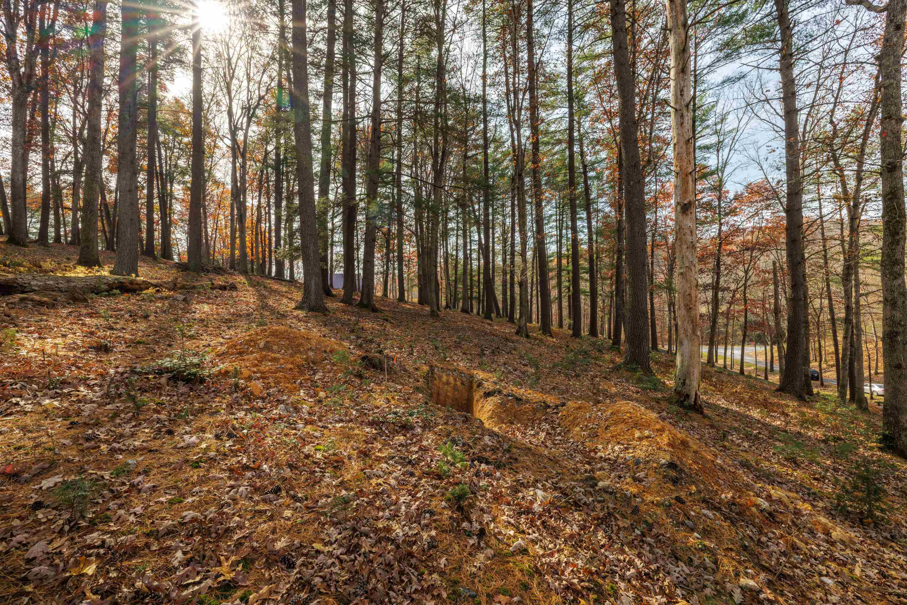 Tbd Plum Tree Draft Road Churchville, VA 24421 - Photo 13 of 26