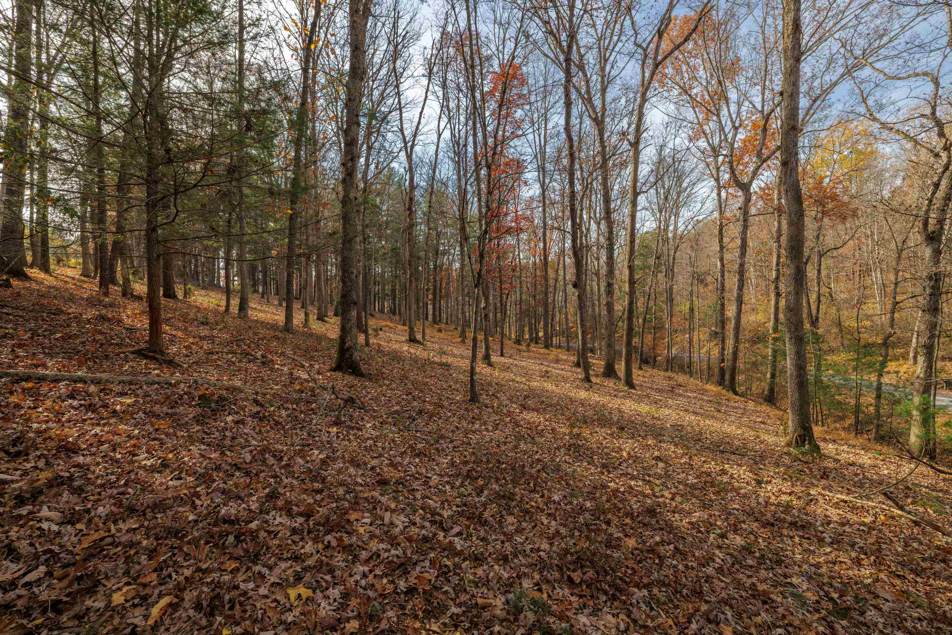 Tbd Plum Tree Draft Road Churchville, VA 24421 - Photo 15 of 26