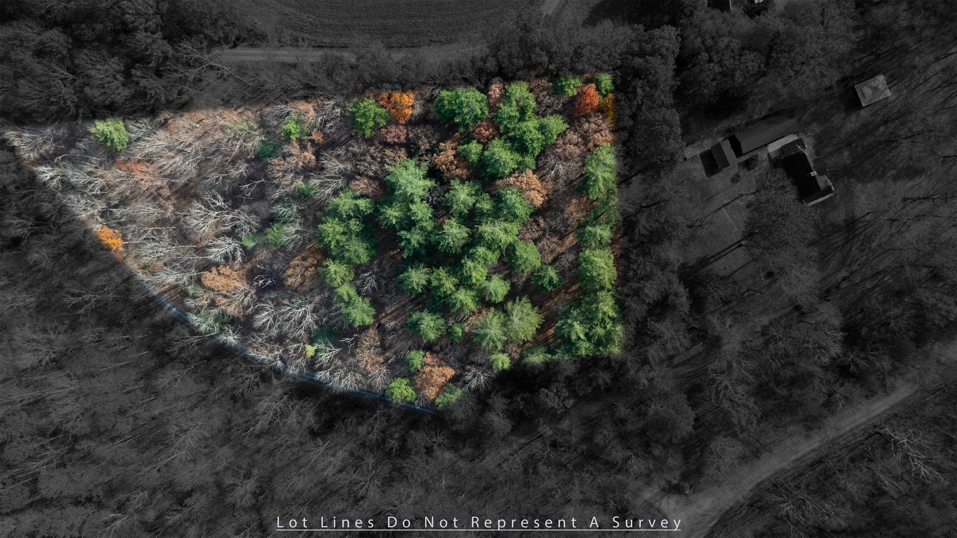 Tbd Plum Tree Draft Road Churchville, VA 24421 - Photo 16 of 26