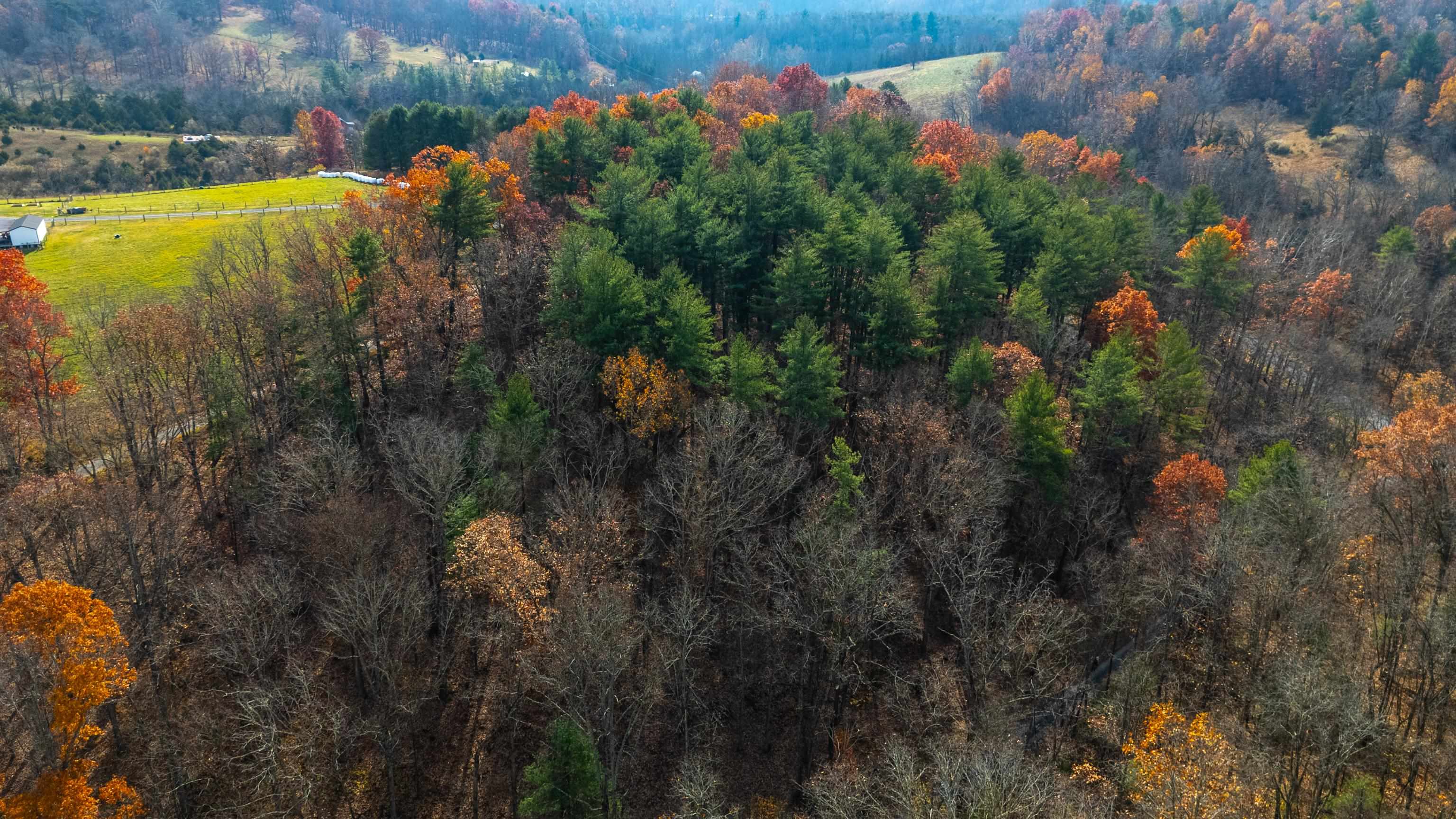 Tbd Plum Tree Draft Road Churchville, VA 24421 - Photo 17 of 26