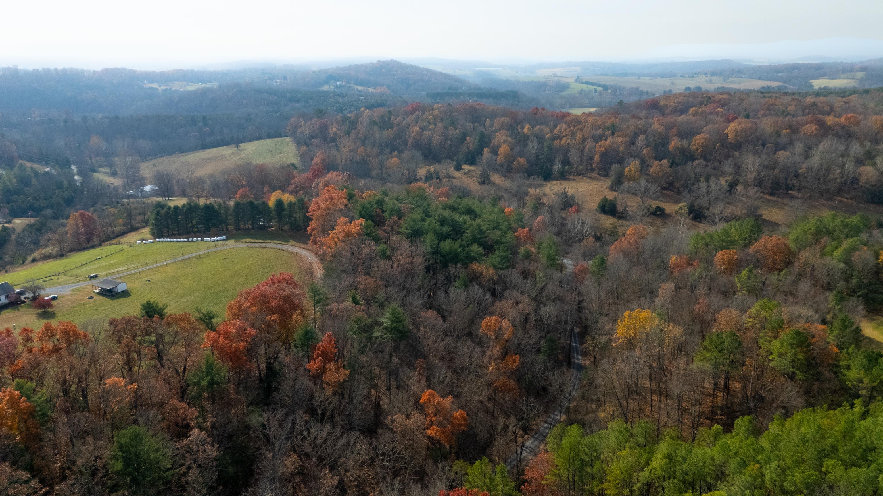 Tbd Plum Tree Draft Road Churchville, VA 24421 - Photo 18 of 26