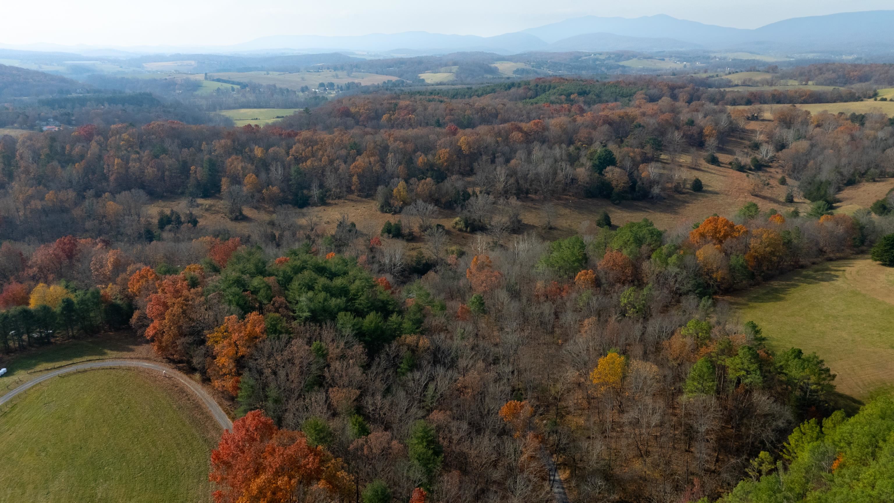 Tbd Plum Tree Draft Road Churchville, VA 24421 - Photo 19 of 26