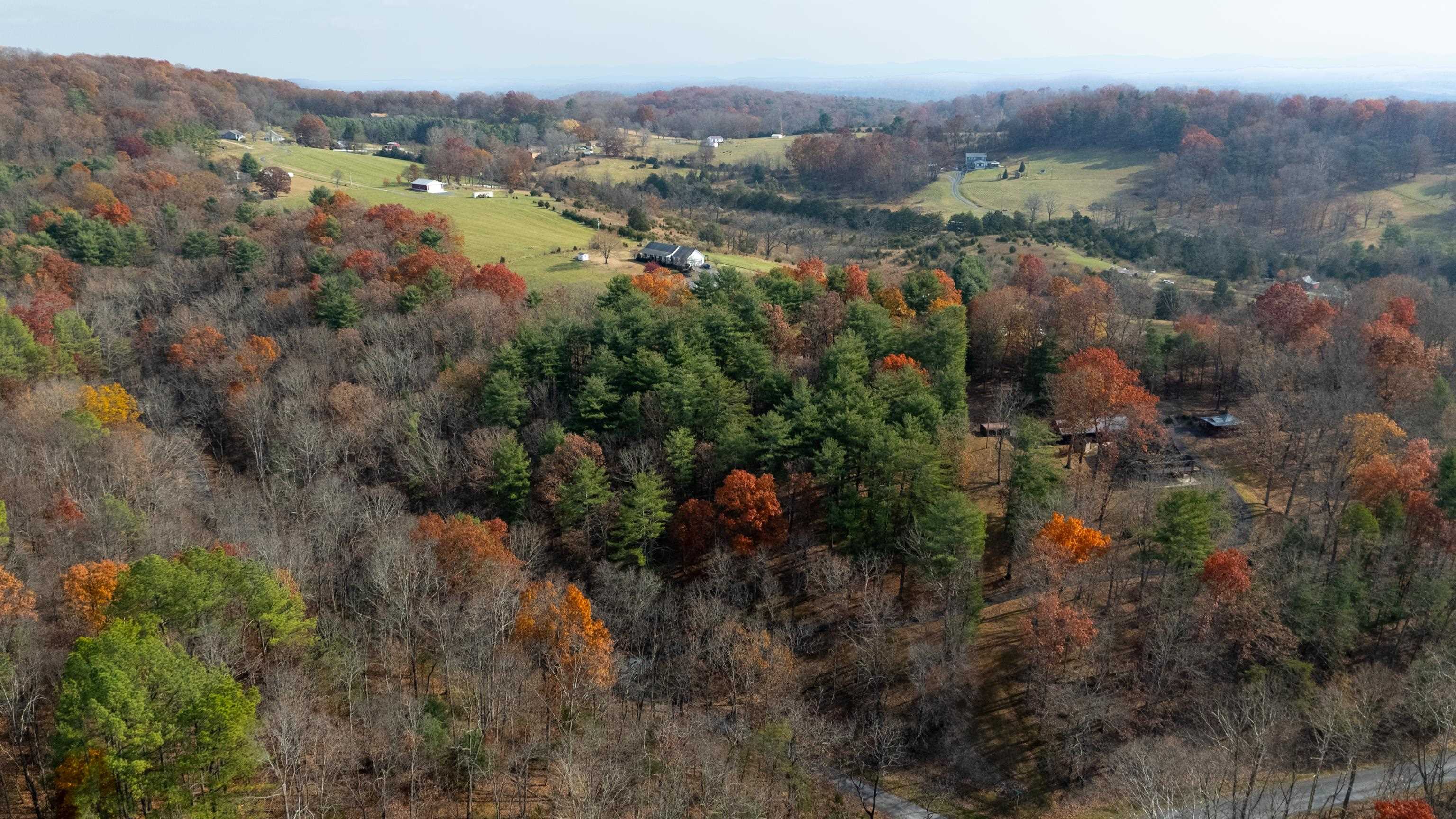 Tbd Plum Tree Draft Road Churchville, VA 24421 - Photo 20 of 26