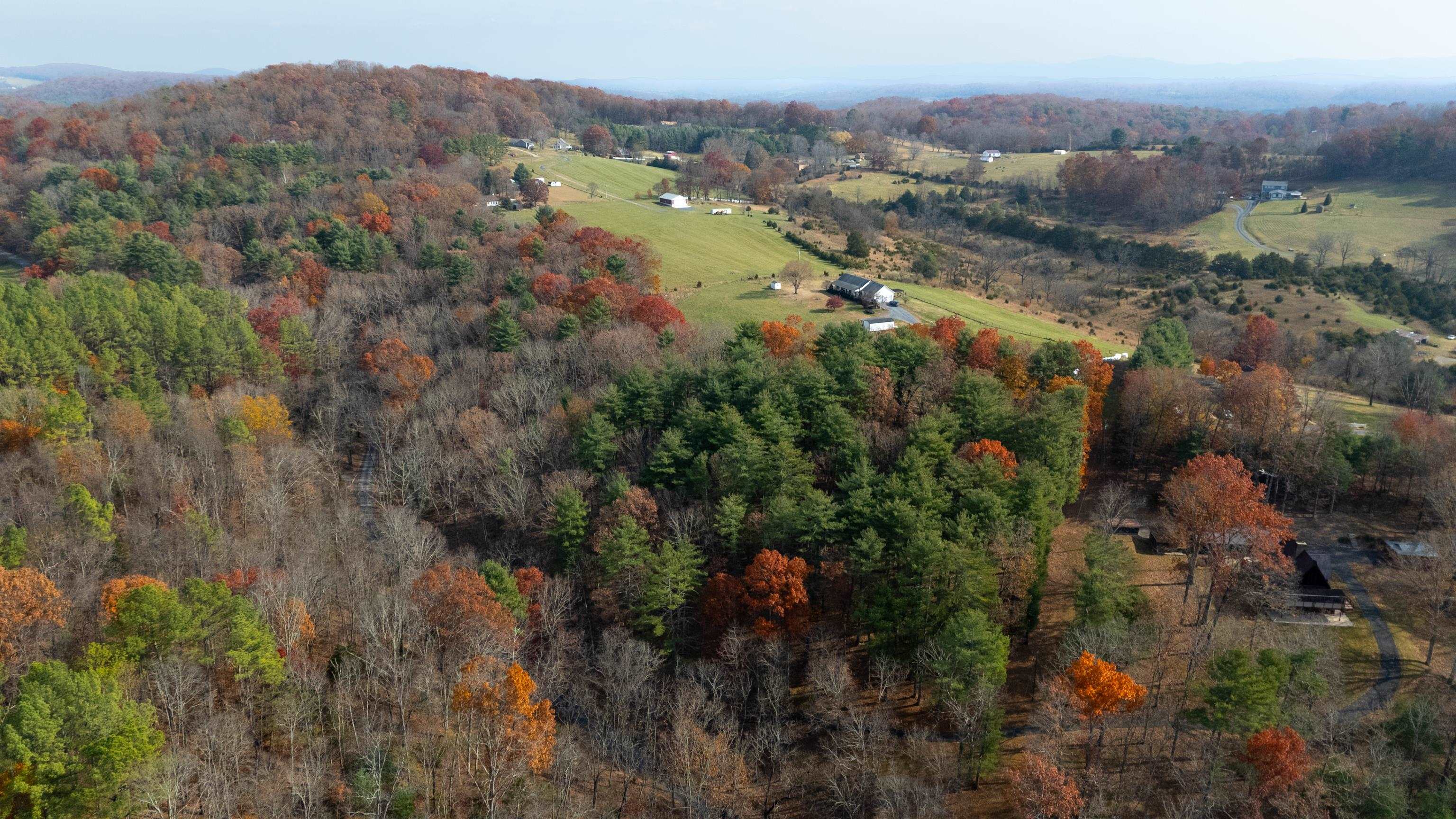 Tbd Plum Tree Draft Road Churchville, VA 24421 - Photo 21 of 26