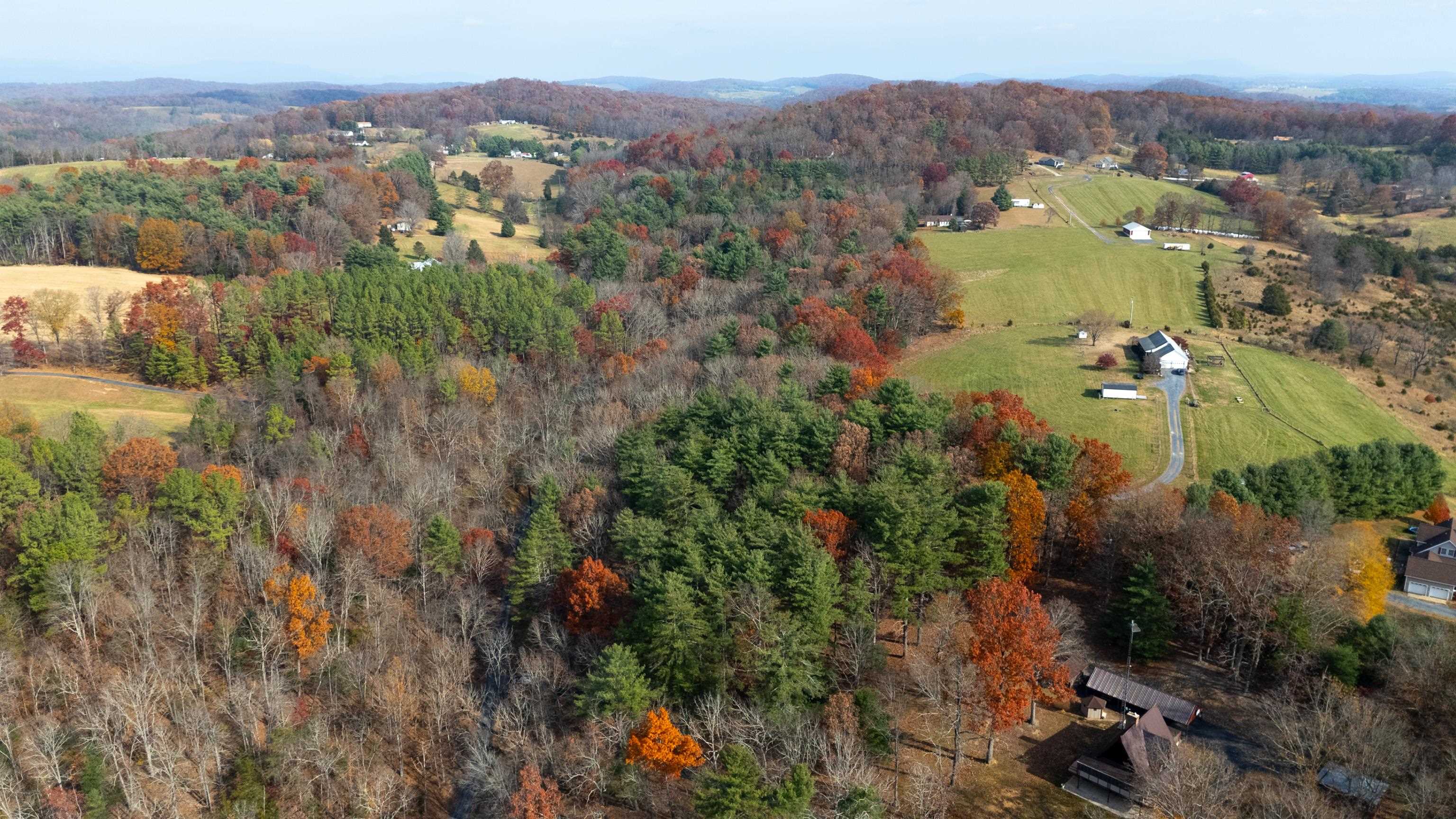 Tbd Plum Tree Draft Road Churchville, VA 24421 - Photo 22 of 26