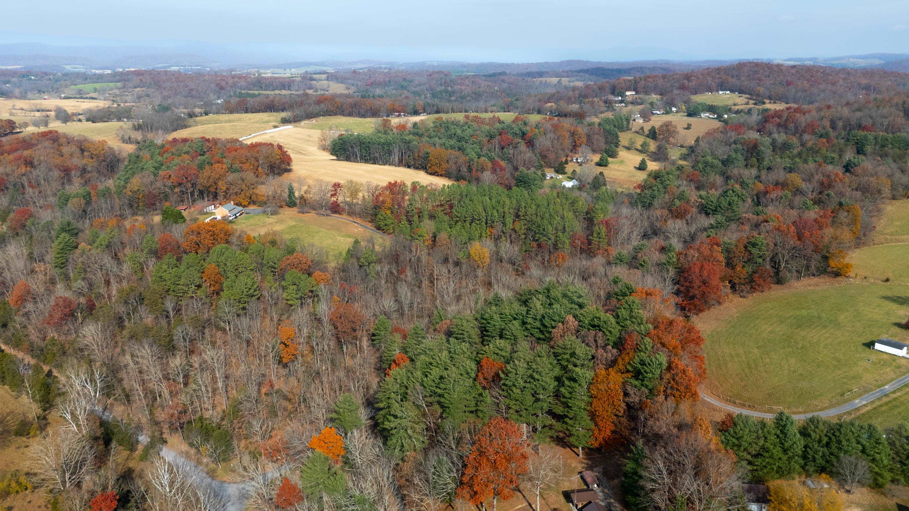 Tbd Plum Tree Draft Road Churchville, VA 24421 - Photo 23 of 26