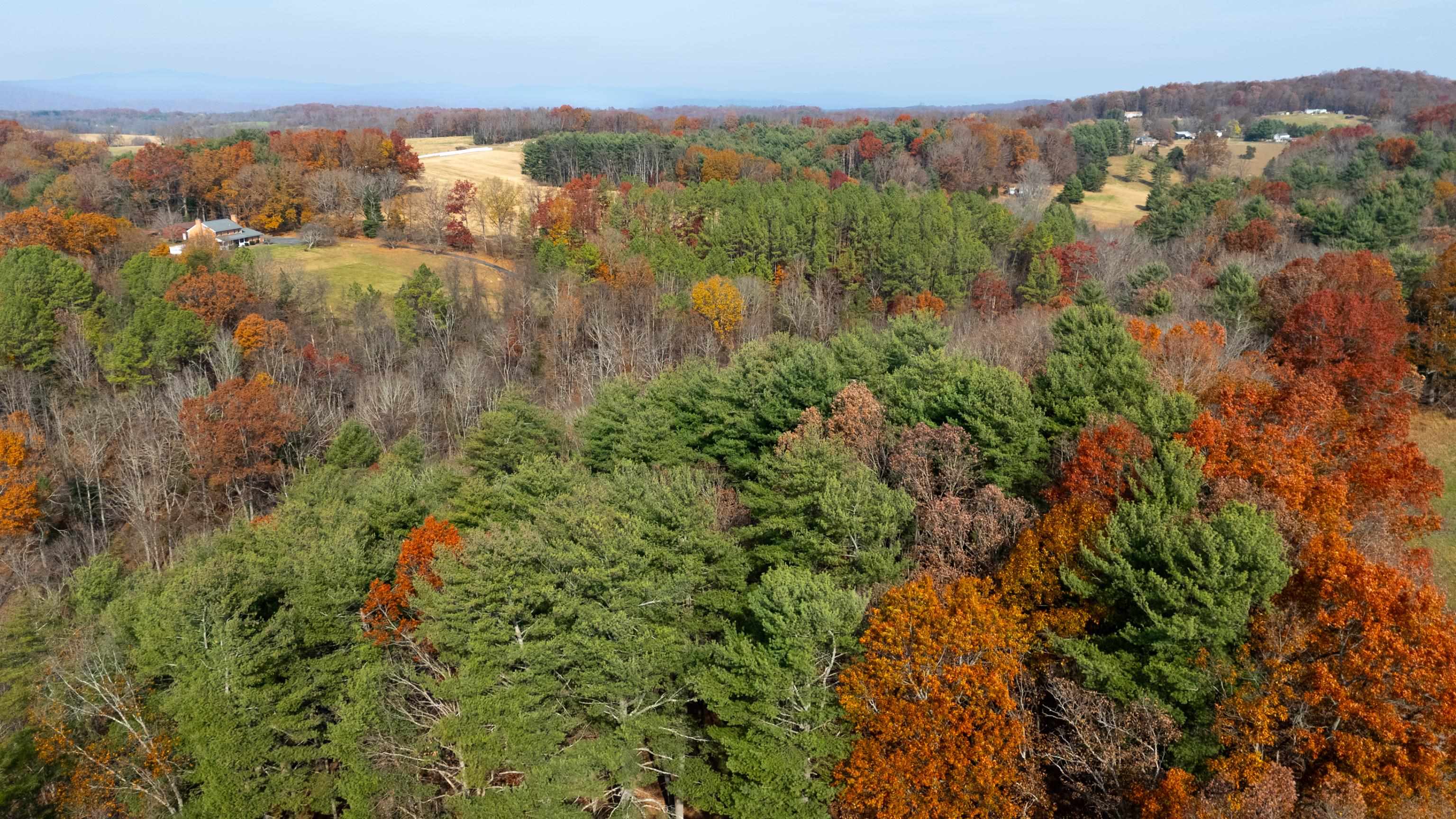 Tbd Plum Tree Draft Road Churchville, VA 24421 - Photo 24 of 26