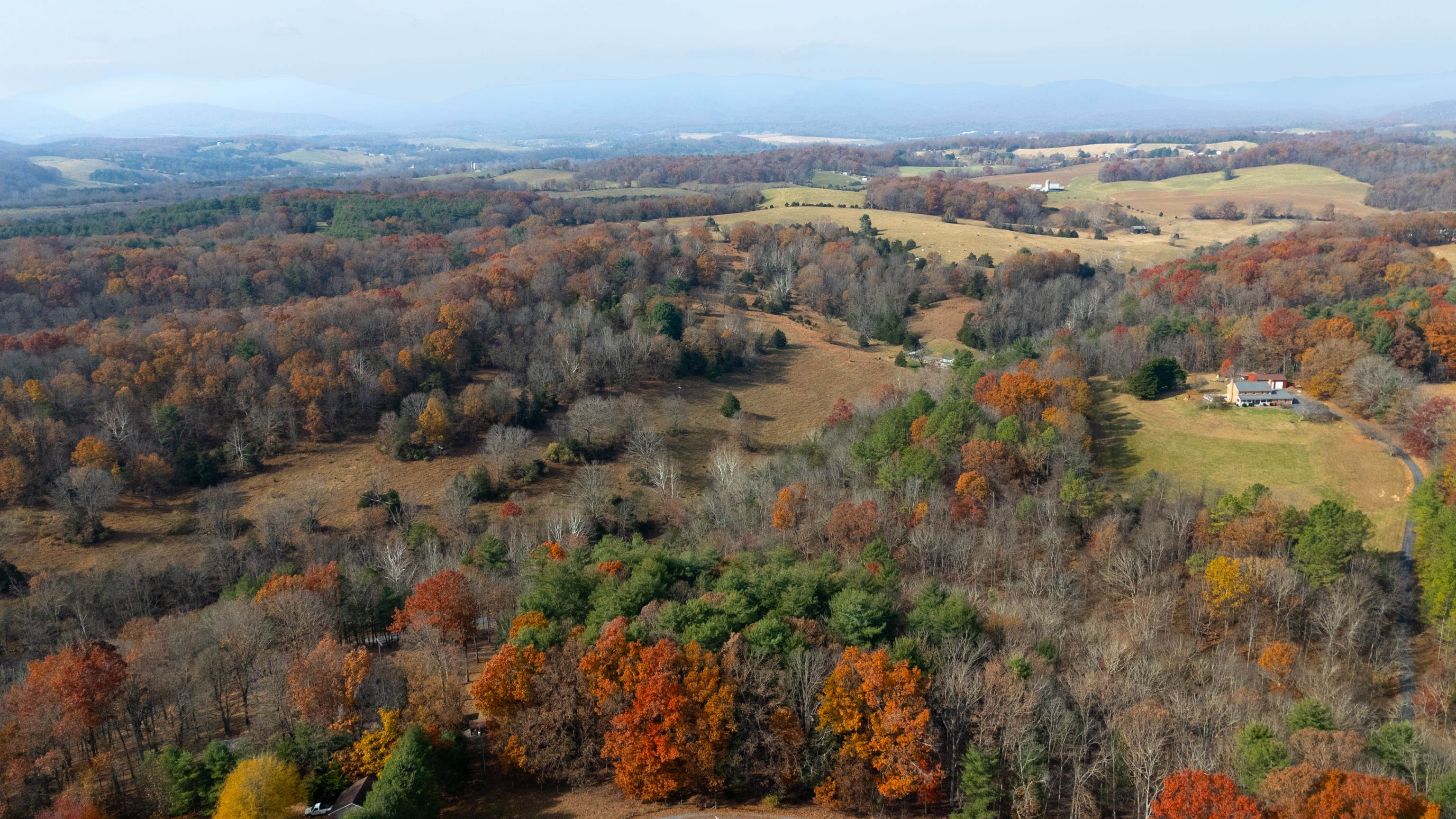Tbd Plum Tree Draft Road Churchville, VA 24421 - Photo 25 of 26
