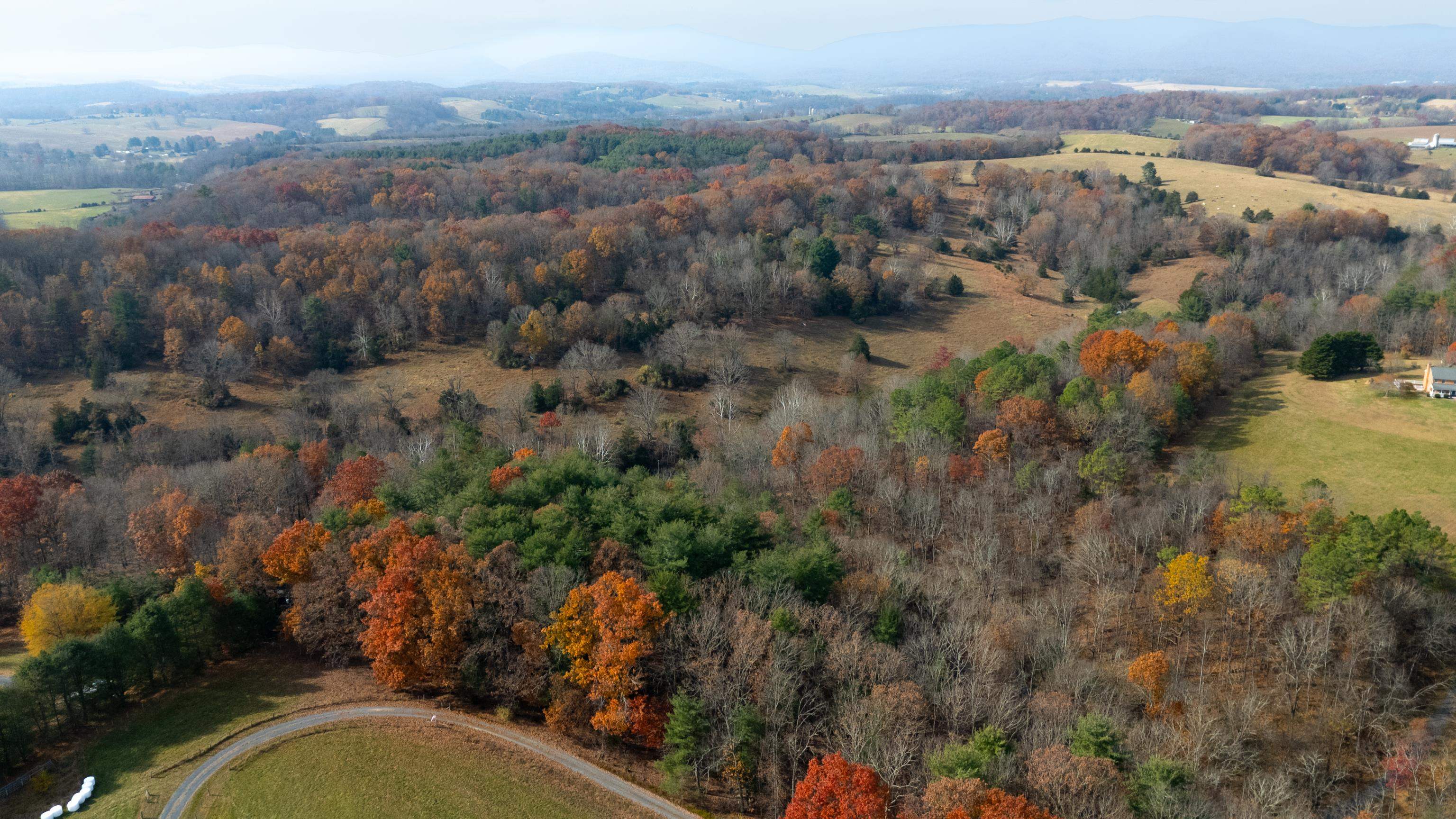 Tbd Plum Tree Draft Road Churchville, VA 24421 - Photo 26 of 26