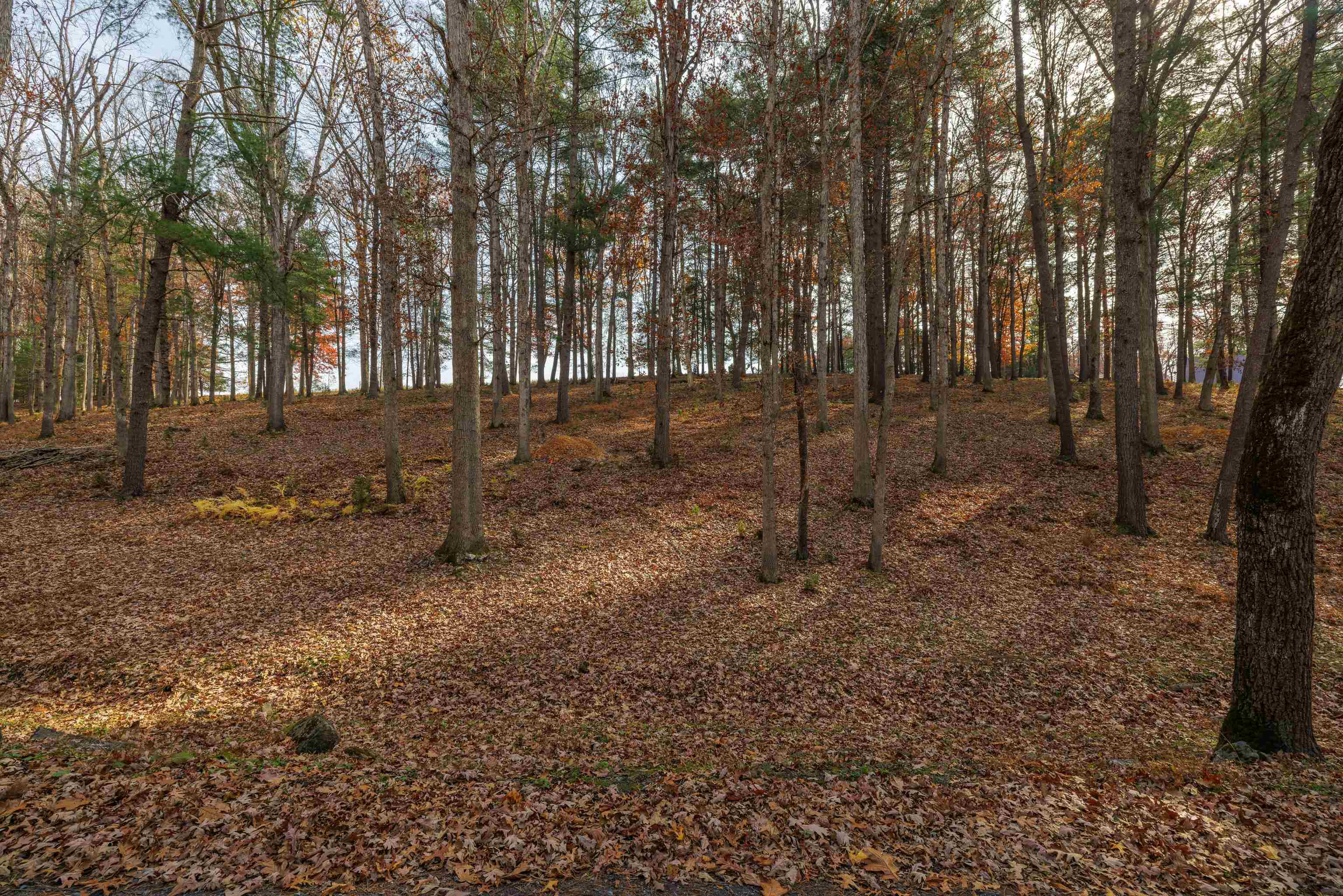 Tbd Plum Tree Draft Road Churchville, VA 24421 - Photo 3 of 26