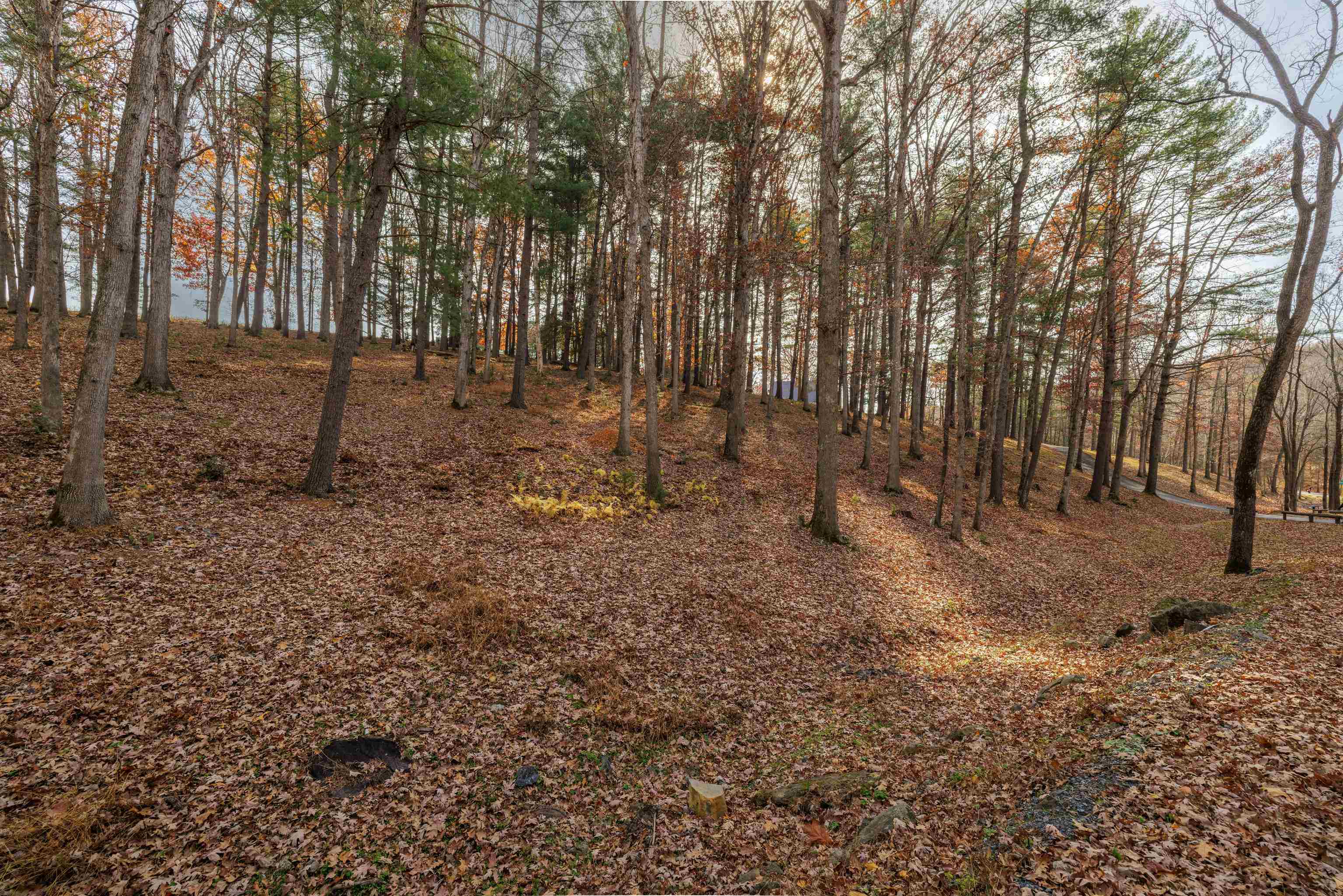 Tbd Plum Tree Draft Road Churchville, VA 24421 - Photo 5 of 26