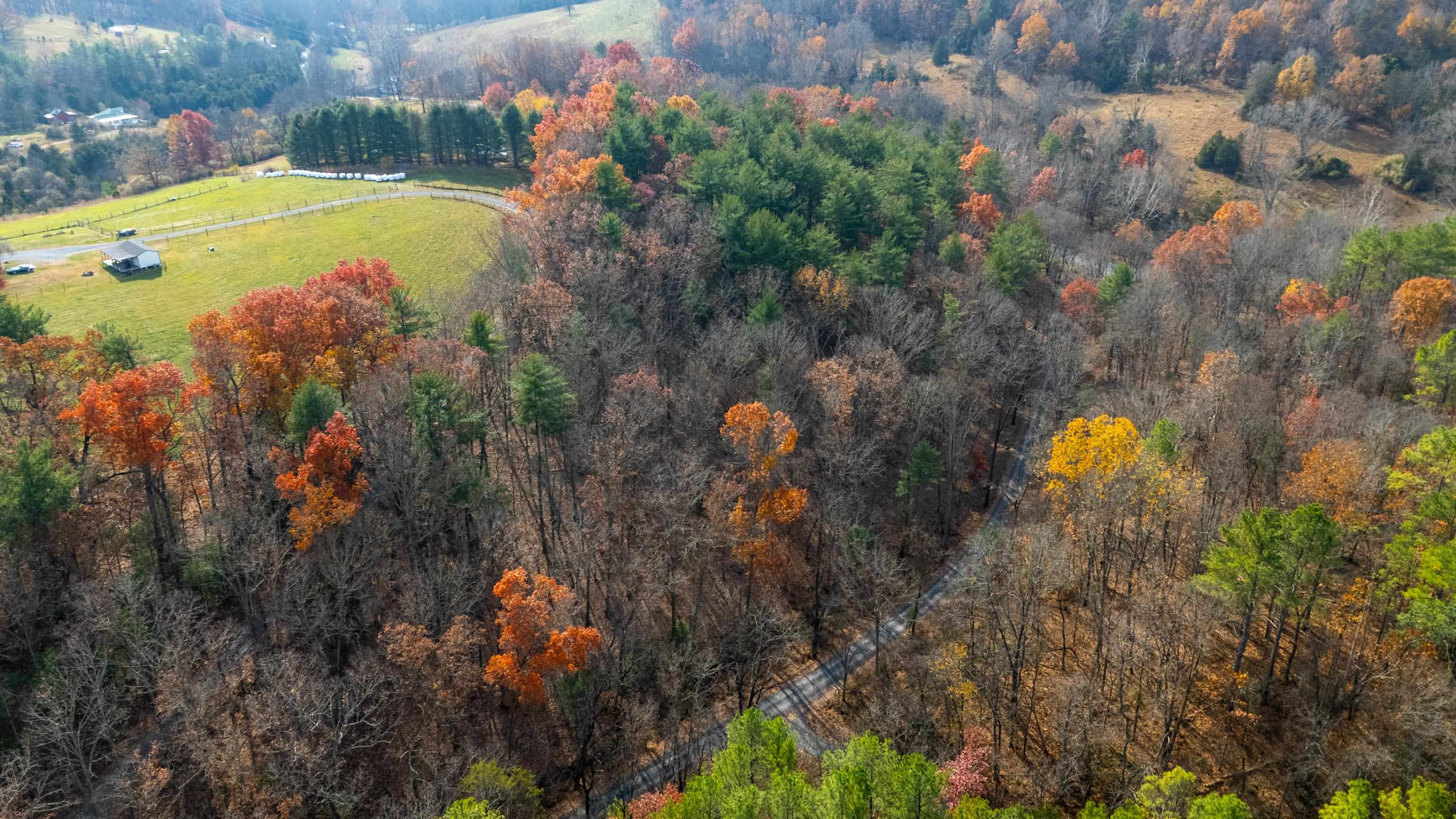Tbd Plum Tree Draft Road Churchville, VA 24421 - Photo 6 of 26