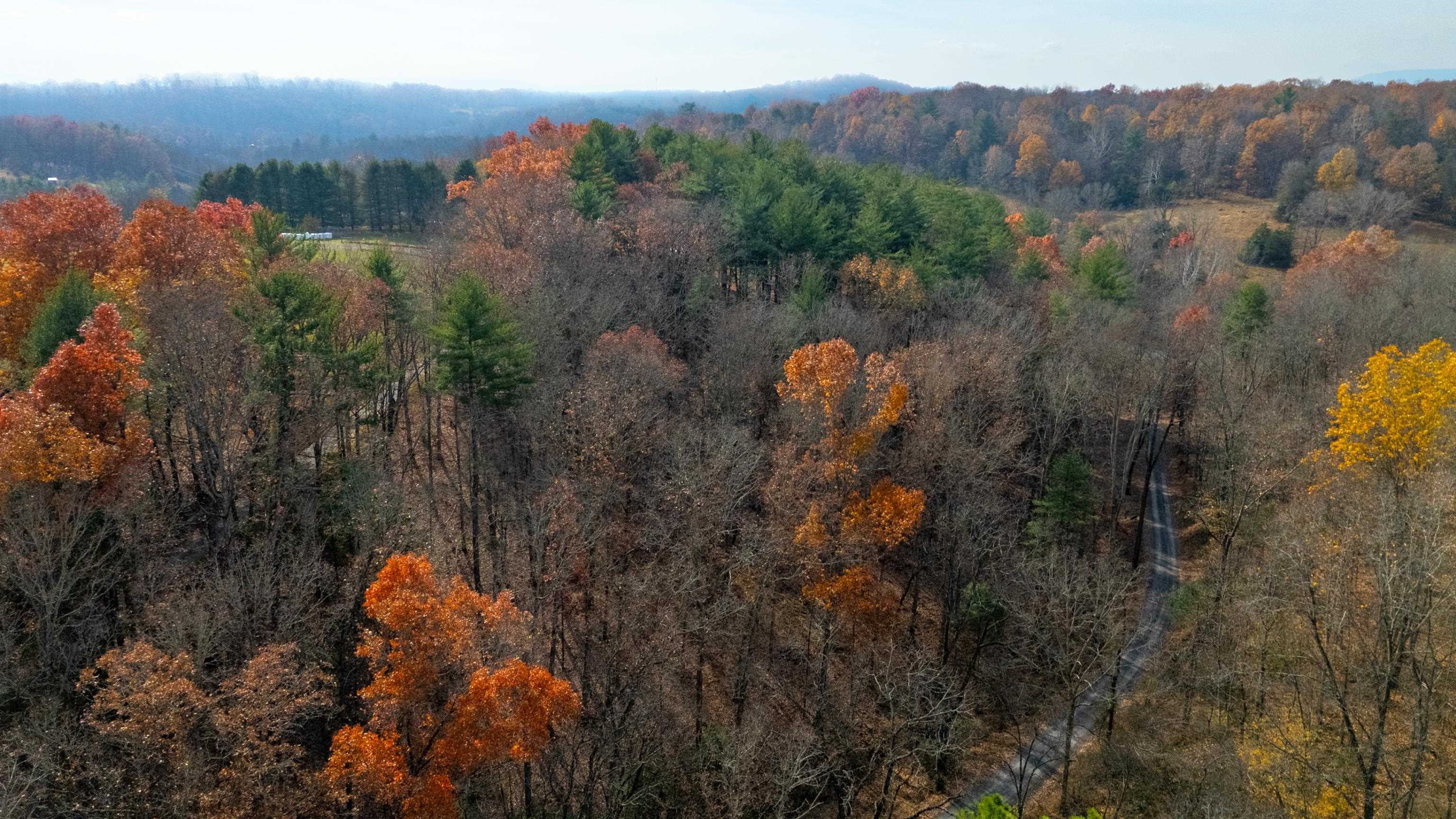 Tbd Plum Tree Draft Road Churchville, VA 24421 - Photo 7 of 26