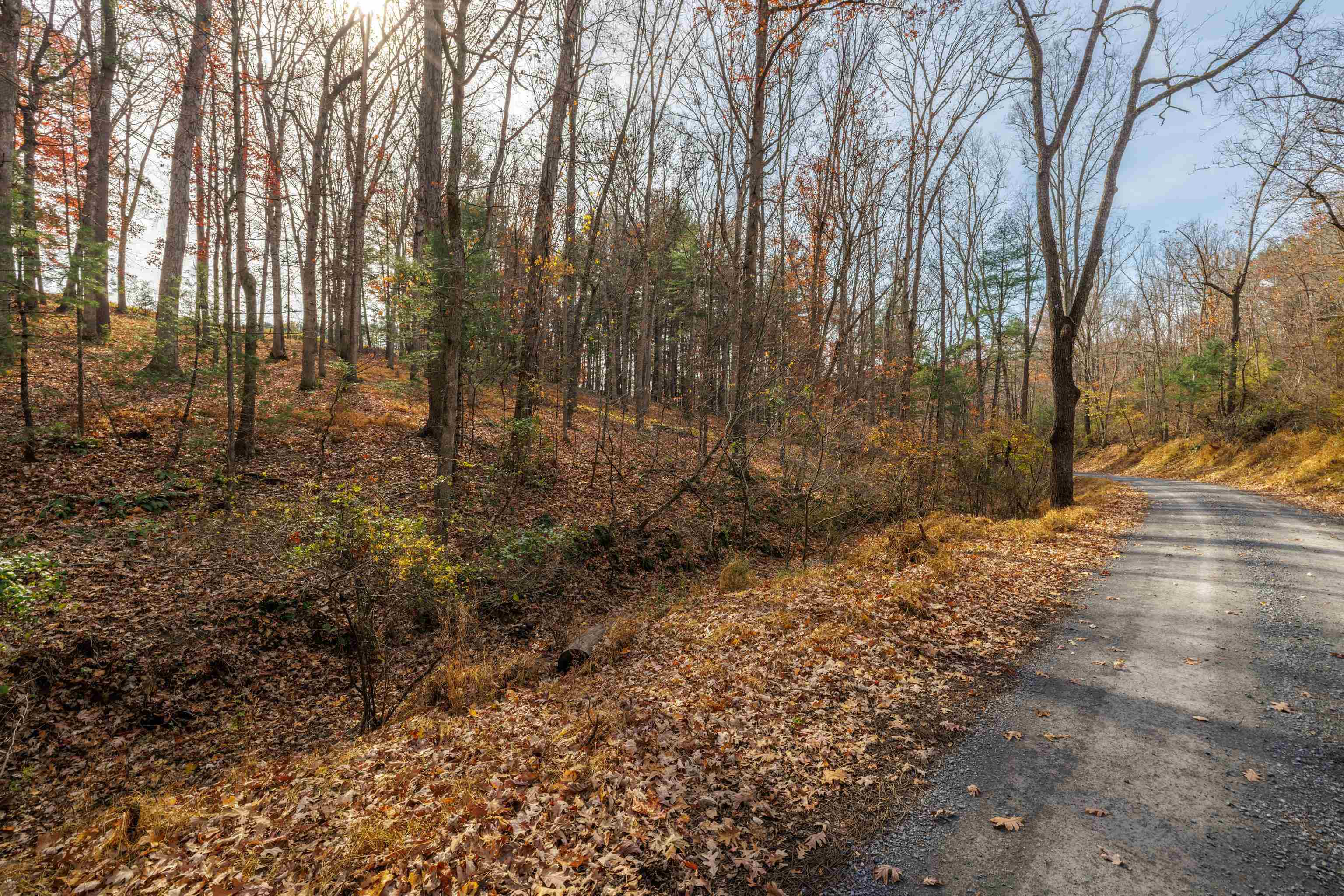 Tbd Plum Tree Draft Road Churchville, VA 24421 - Photo 10 of 26