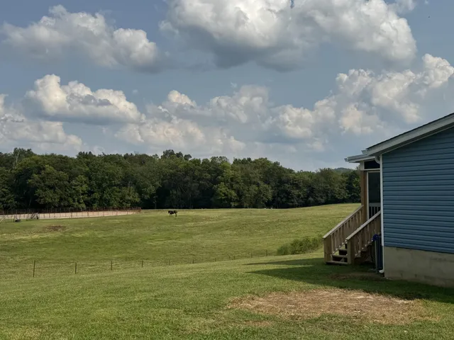 a view of a golf course with a lake