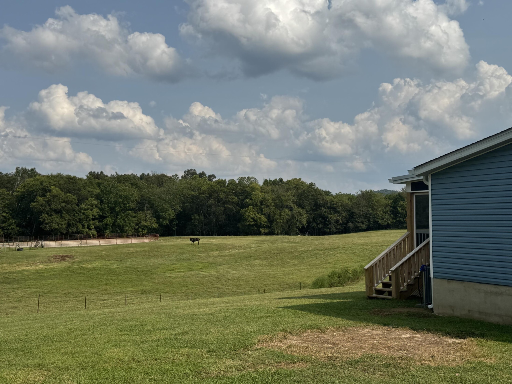 115 Seals Lane Decatur, TN 37322 - Photo 25 of 25