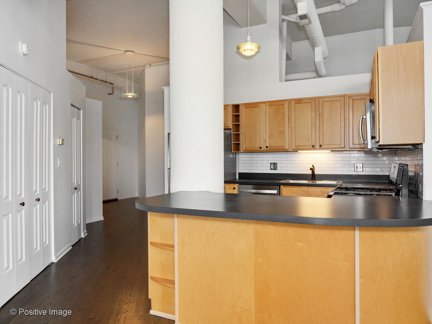 1019 West Jackson Boulevard, Unit 2B Chicago, IL 60607 - Photo 8 of 18