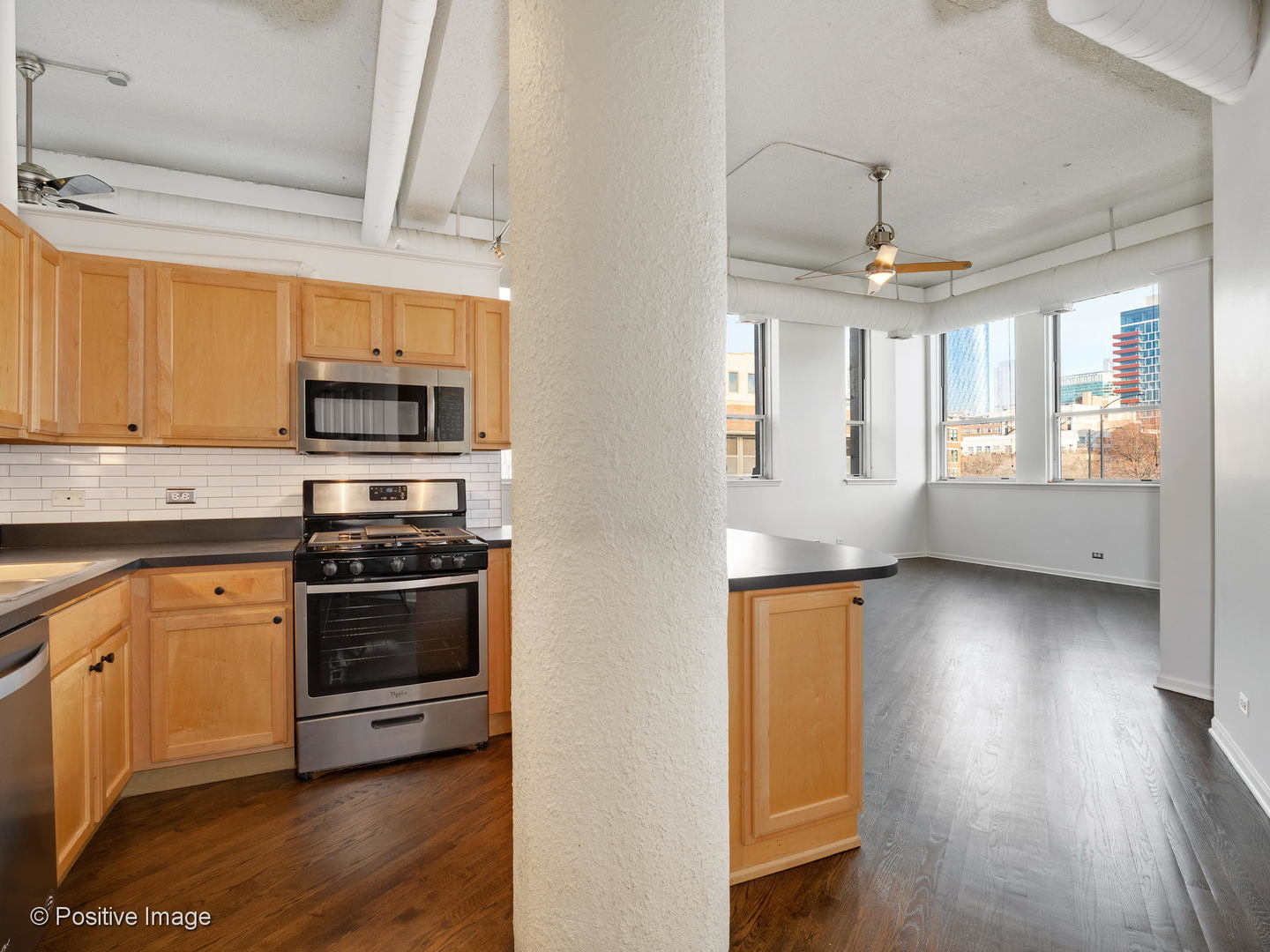 1019 West Jackson Boulevard, Unit 2B Chicago, IL 60607 - Photo 9 of 18