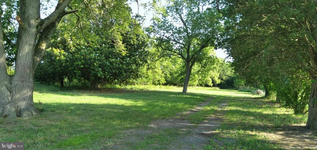 8933 Jersey Road Salisbury, MD 21801 - Photo 2 of 12 Gallery Image 2