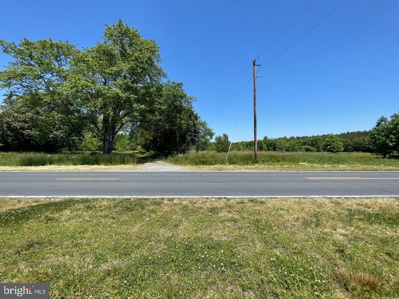 8933 Jersey Road Salisbury, MD 21801 - Photo 5 of 12 Gallery Image 5
