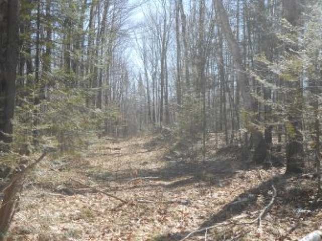 W8798 Lake Road Phillips, WI 54555 - Photo 19 of 20 Gallery Image 19