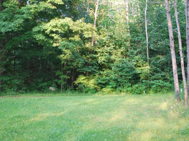 9925 East Sipple Road Crandon, WI 54520 - Photo 3 of 6 Gallery Image 3