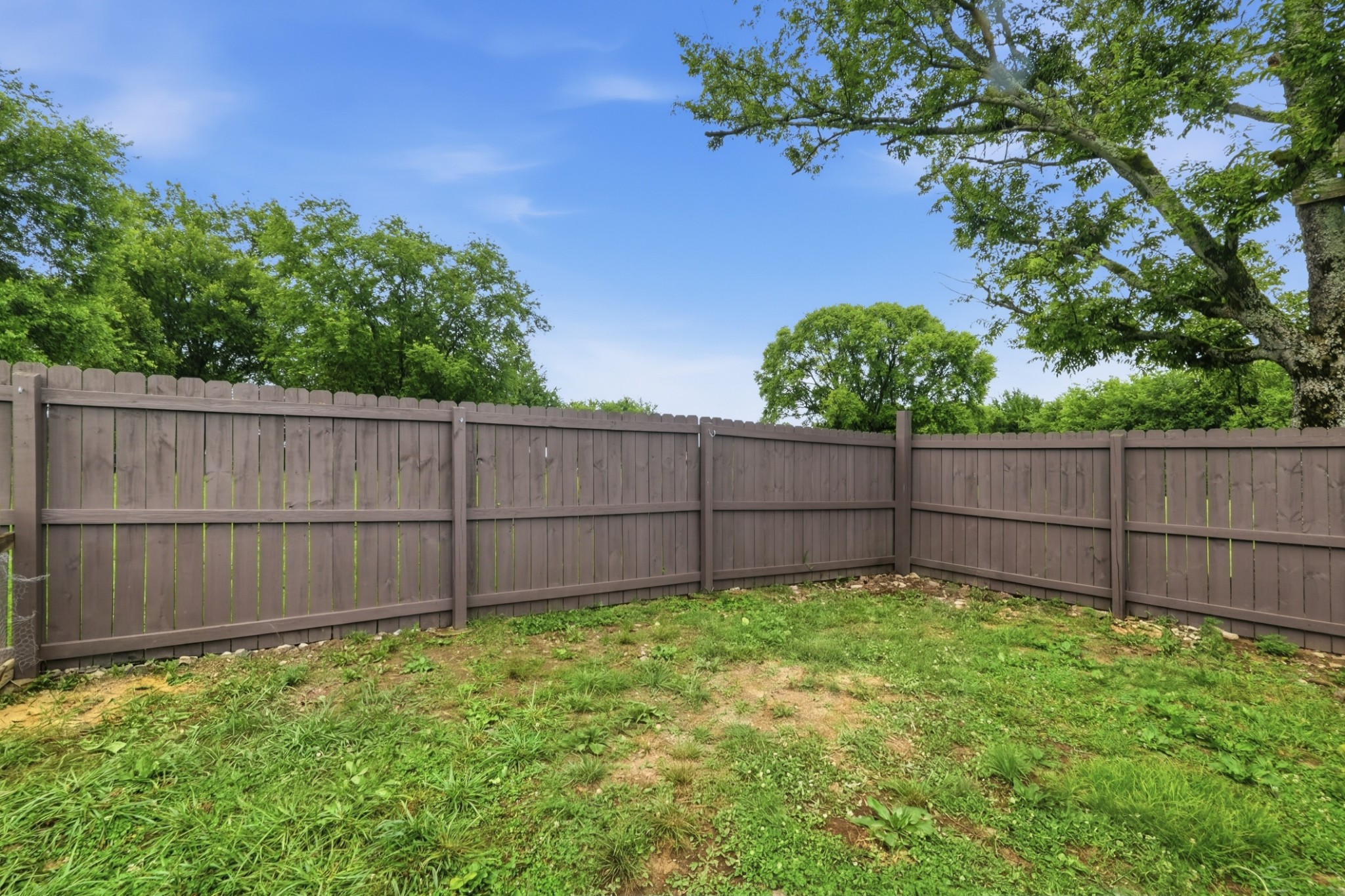 1569 Ringwald Road Murfreesboro, TN 37130 - Photo 22 of 31