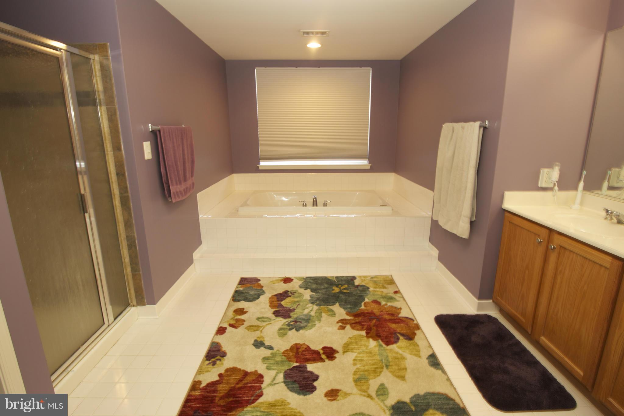 2308 Manor Spring Terrace Silver Spring, MD 20906 - Photo 6 of 30 Bath (Master)