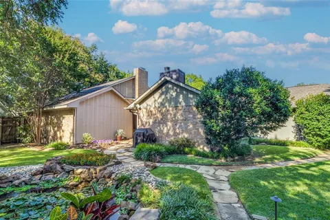 a view of a backyard with plants and a tree