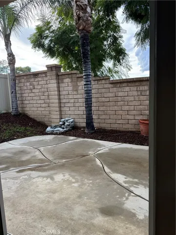 a street view with large trees