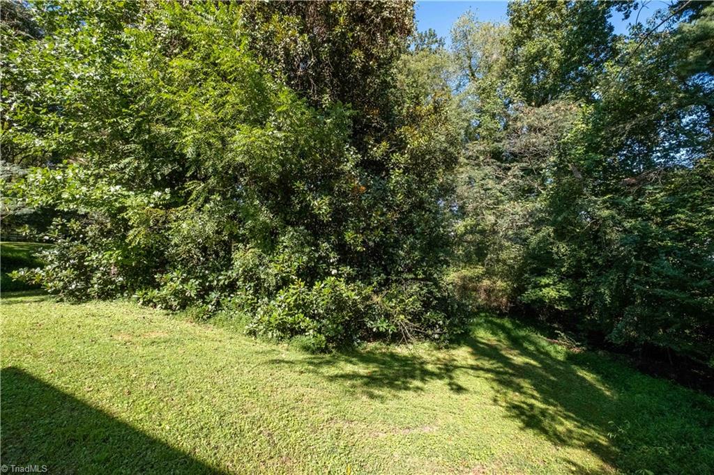 193 Victoria Street Elkin, NC 28621 - Photo 20 of 20 Wood back yard