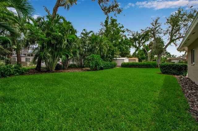 a view of green field with trees