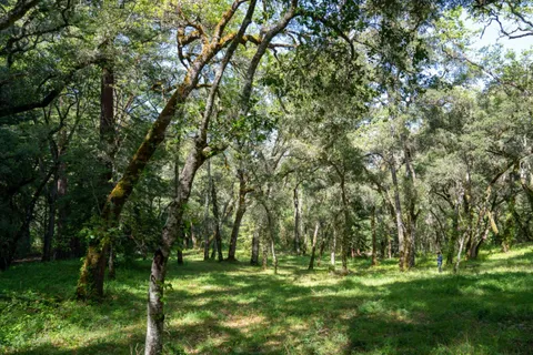 $450,000 | 35000 Robinson Canyon Road, Carmel, CA 93923